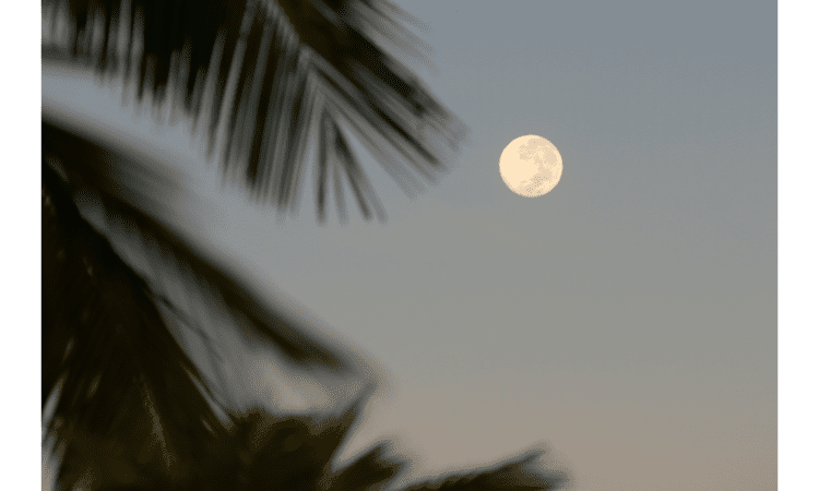know about full moon