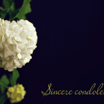 How to Respond to Condolences
