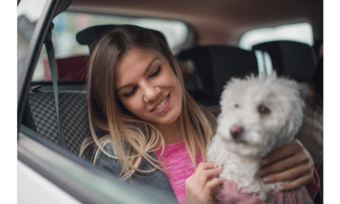 Know About Driving safely with pets