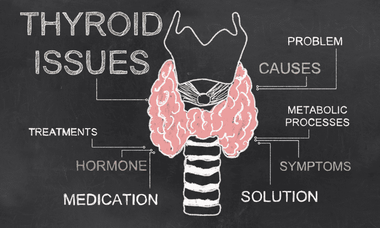 Role of Thyroid on health & metabolism