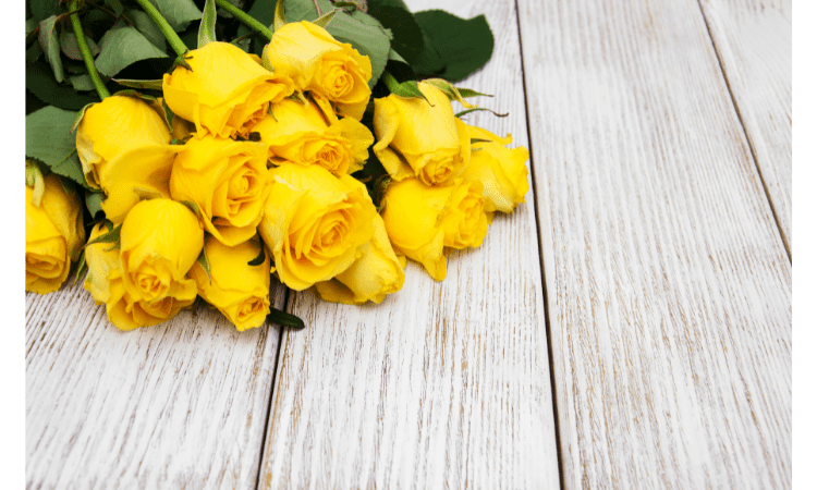 Flowers and their meanings of Gift