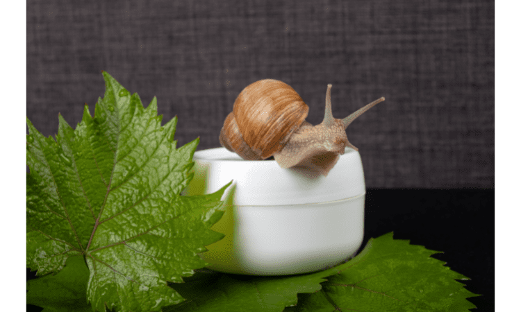 Snail Mucin cream