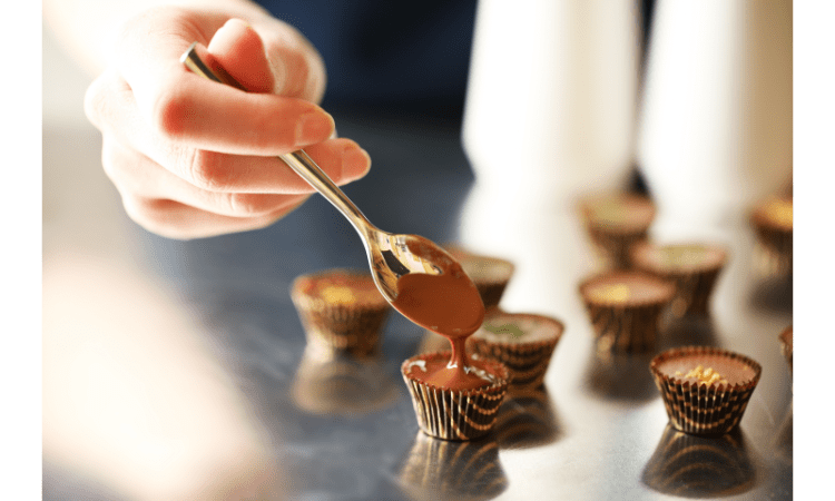 how to make shroom chocolates