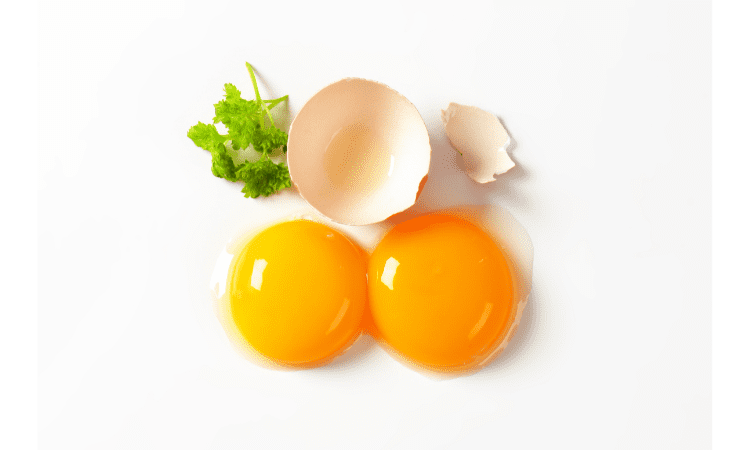 Egg Yolk Vitamin D