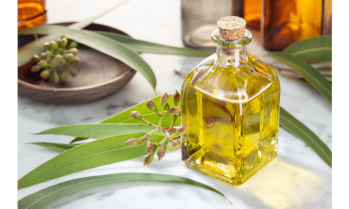 Eucalyptus oil benefits