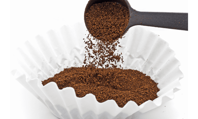 best ways to get rid of sugar ants