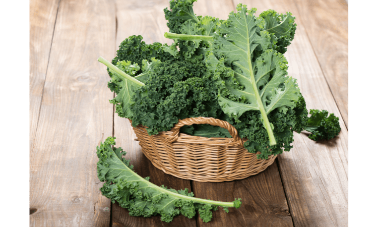  bes leafy greens to slow aging