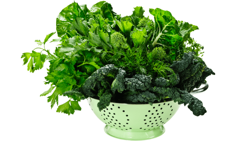 best leafy greens to burn fat and slow aging