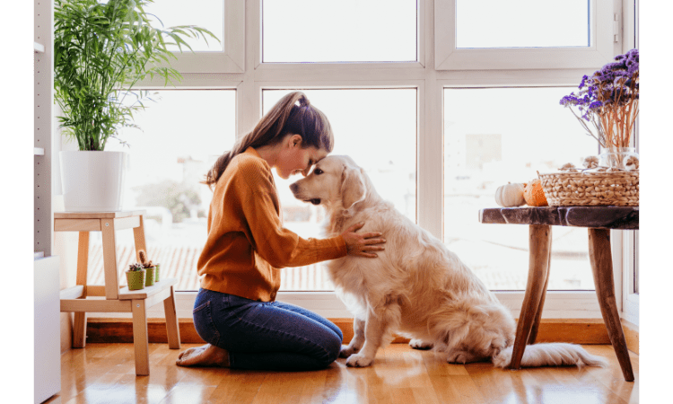 Best Tips to Keep Your Dog Healthy and Happy