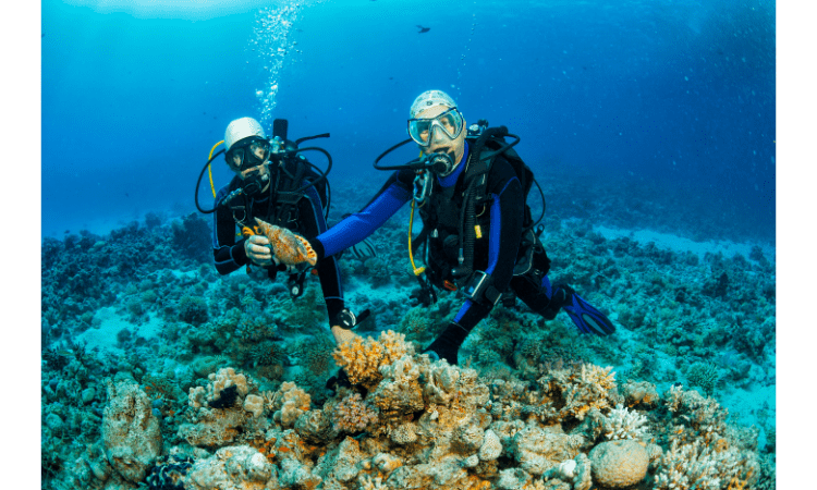 Essential Scuba Diving Tips for Beginners
