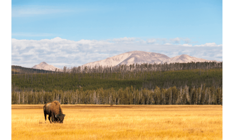 The best U.S. National Parks to visit in summer