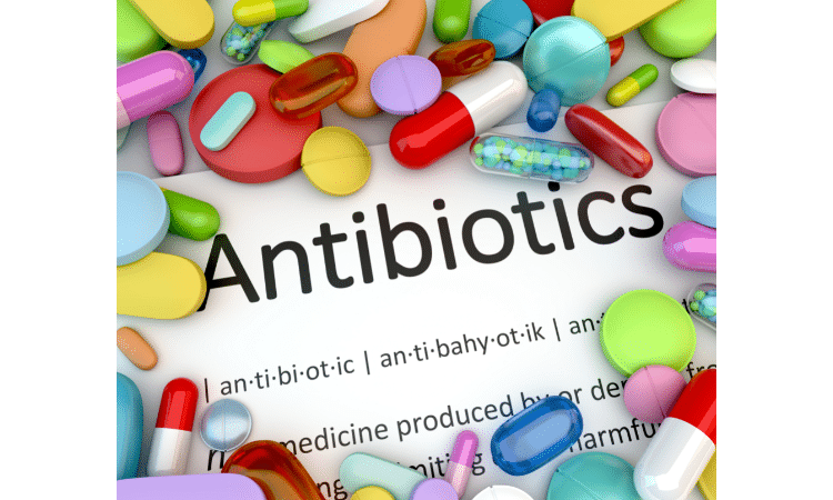 foods you should avoid when taking antibiotics