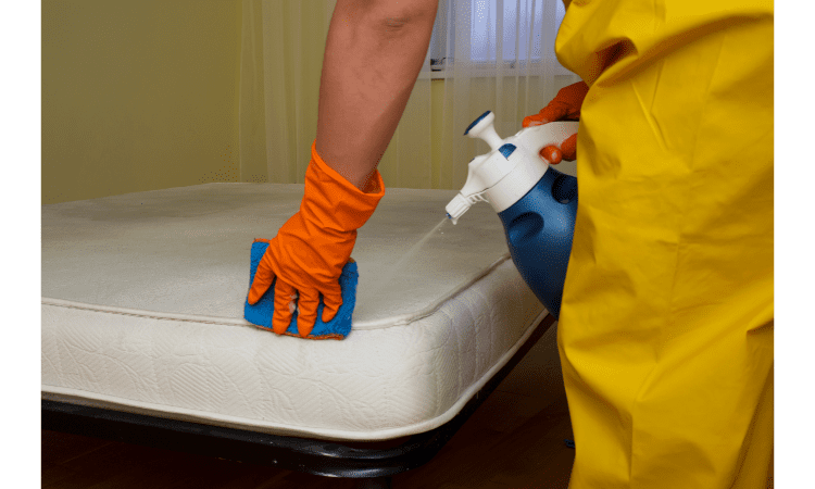 how to get rid of mattress with bed bugs
