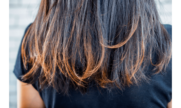 What Avocado Oil Can Do for Your Hair