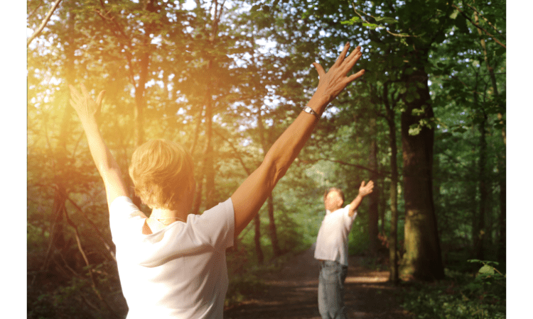 What is Forest bathing and why its good for health