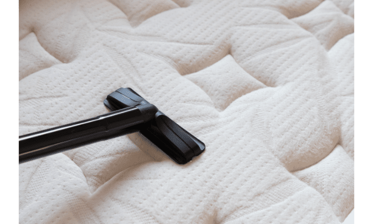 how to get rid of bed bugs from mattresses
