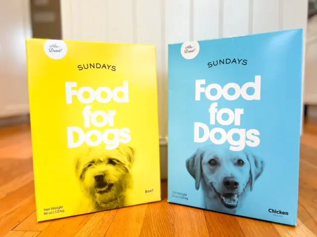 Best Human Grade Dog Food